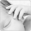 Litha Fotodesign: Gutschein Newborn